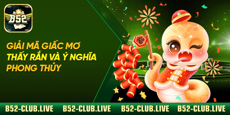 Giải mã giấc mơ thấy rắn và ý nghĩa phong thủy