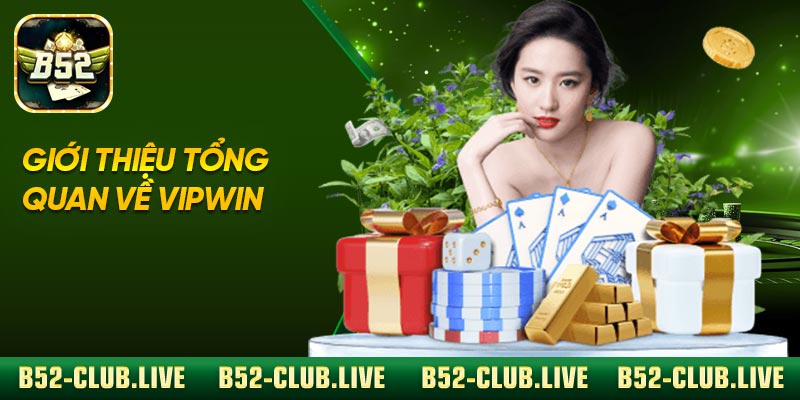 Giới thiệu tổng quan về Vipwin