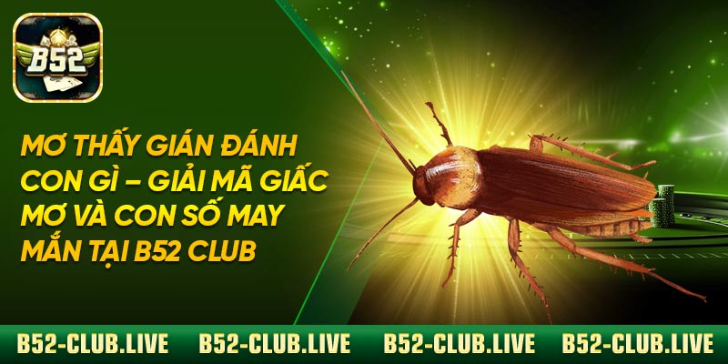 Mơ Thấy Gián Đánh Con Gì Và Mẹo Soi Cầu Hiệu Quả