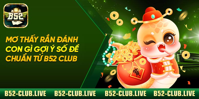 Mơ Thấy Rắn Đánh Con Gì Gợi Ý Số Đề Chuẩn Từ B52 Club